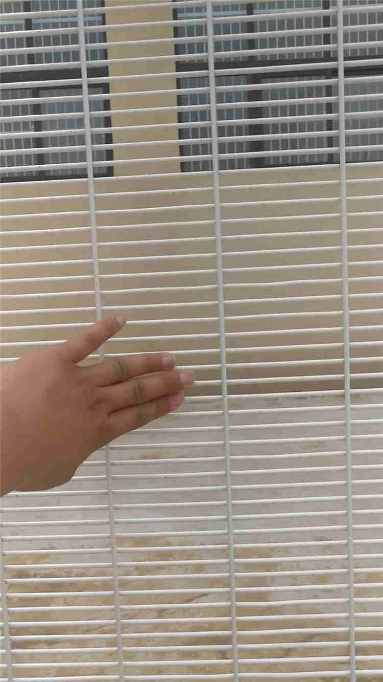 密紋護欄網(wǎng)